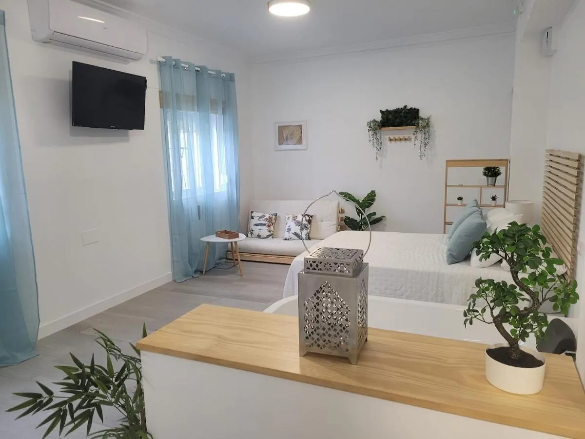 Lägenhet Apartamento Loft Deluxe Interior Y Exterior El Bosque Spanien